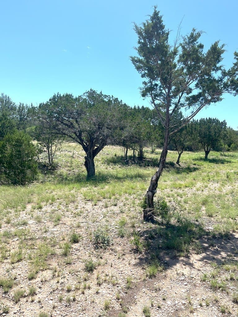 5 acres in Real County - photo 29
