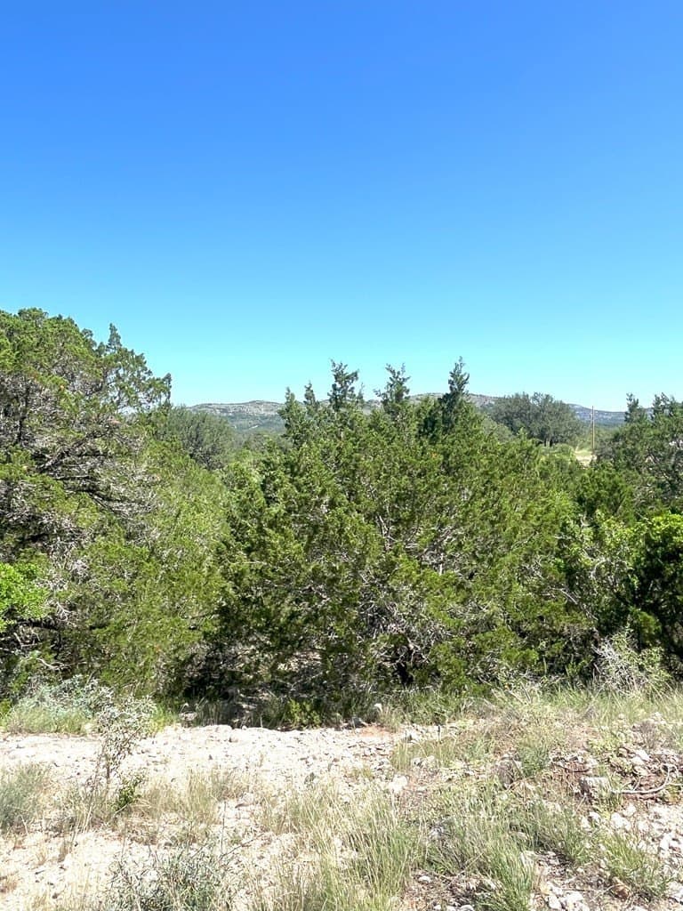5 acres in Real County - photo 13