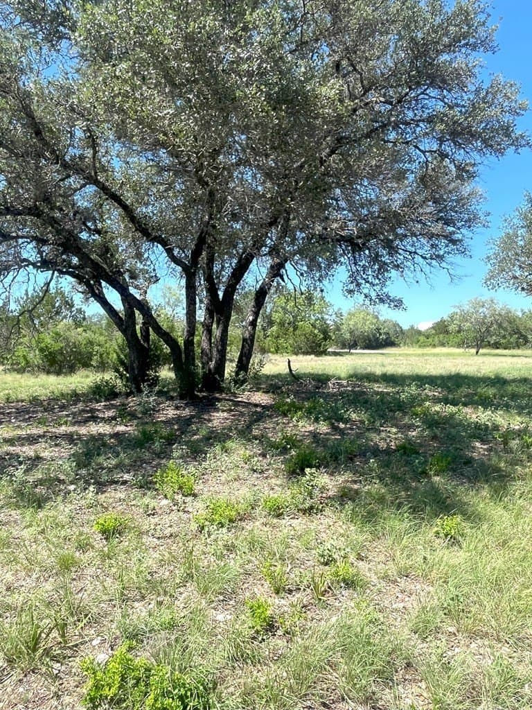 5 acres in Real County - photo 10