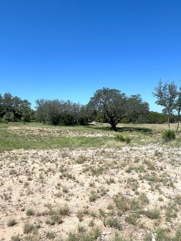 5 acres in Real County - photo 14