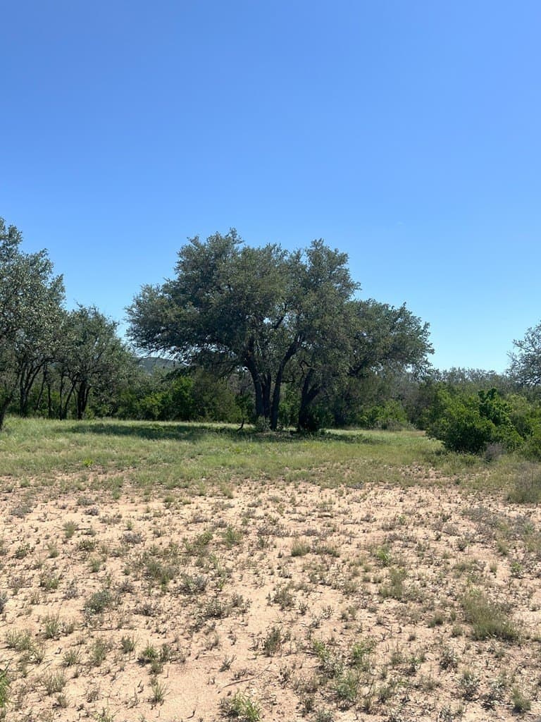 5 acres in Real County - photo 7