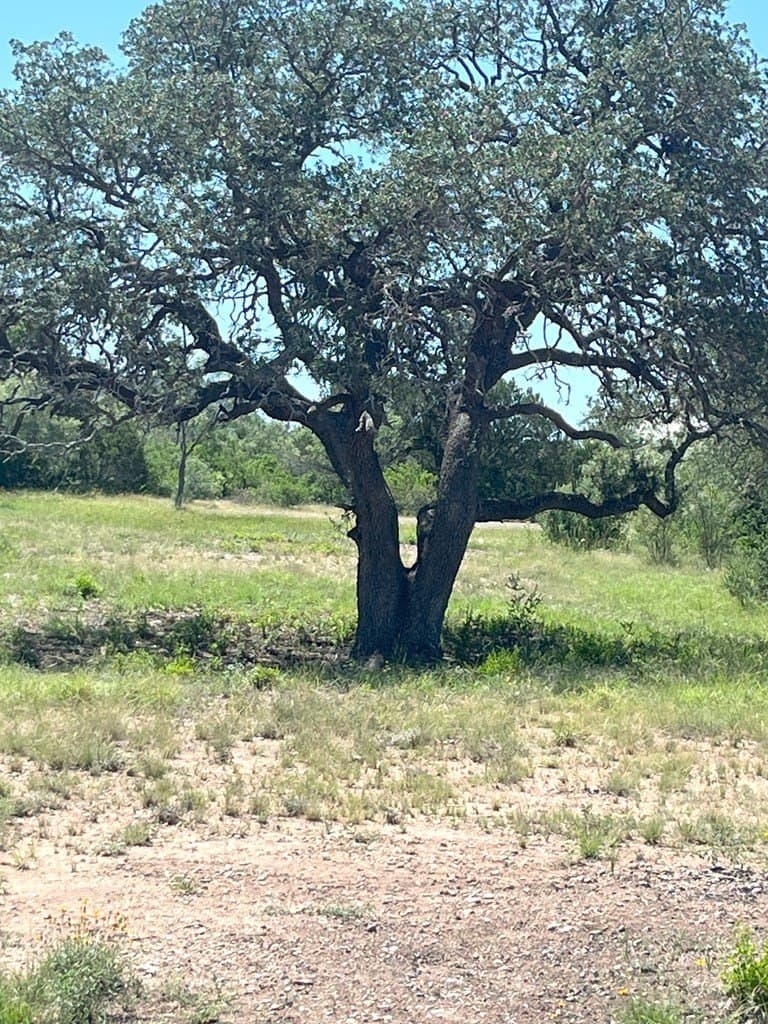 5 acres in Real County - photo 35