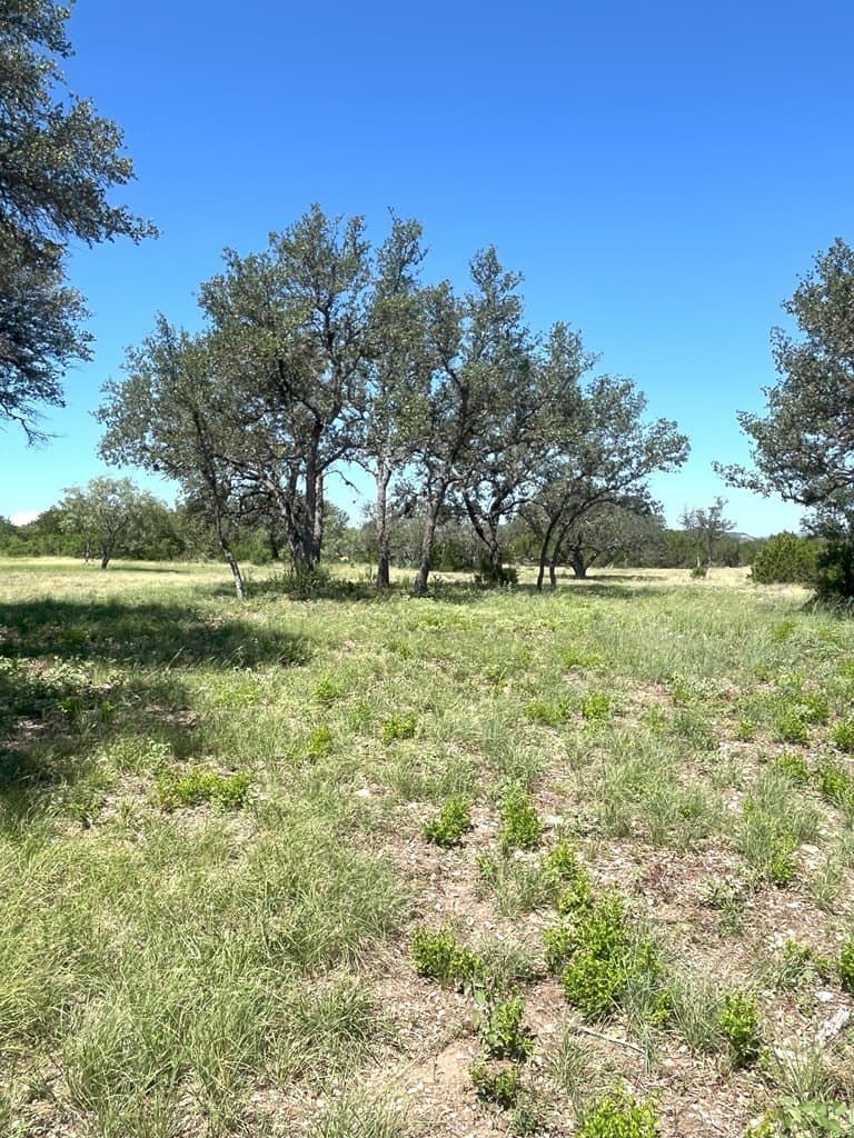 5 acres in Real County - photo 11