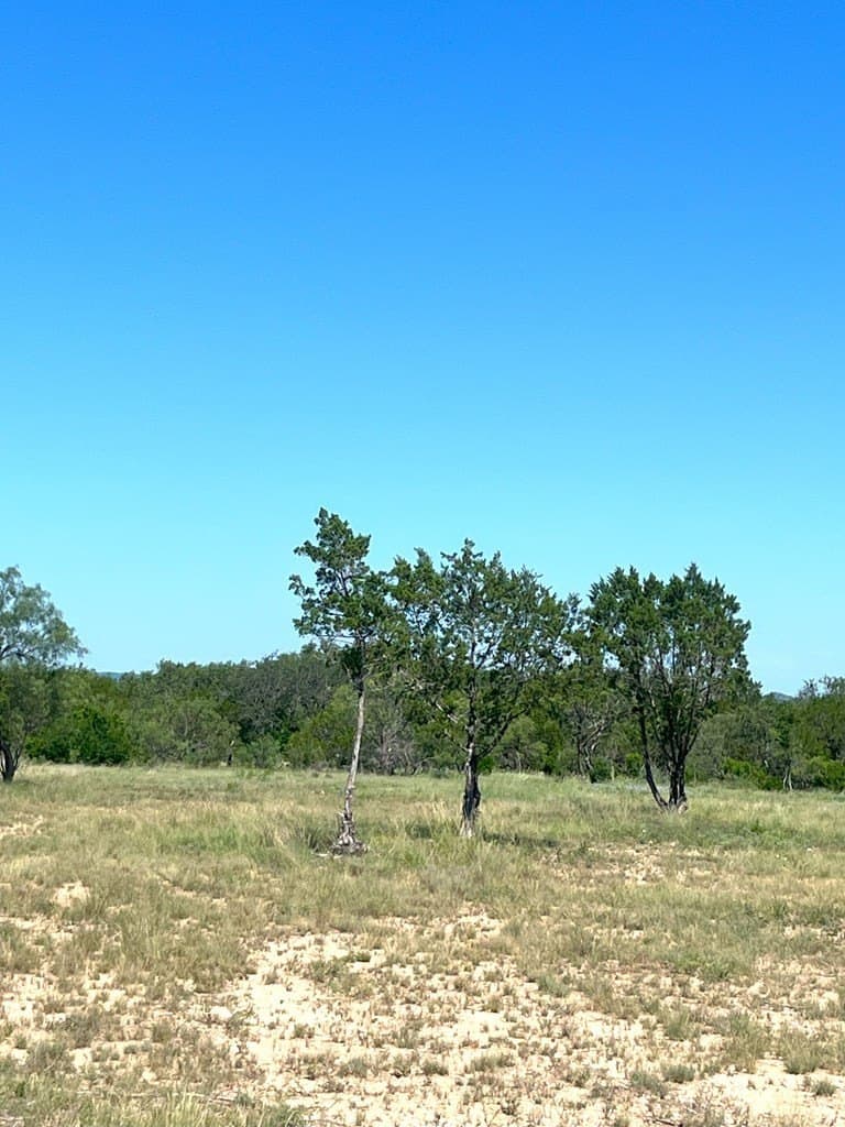 5 acres in Real County - photo 17
