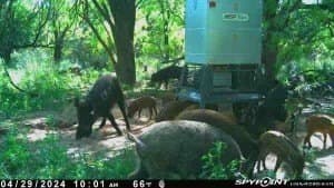 5 acres in Haskell County - photo 11