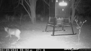 5 acres in Haskell County - photo 9