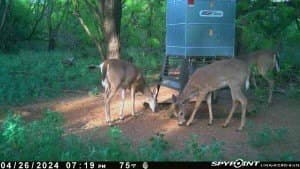 5 acres in Haskell County - photo 10