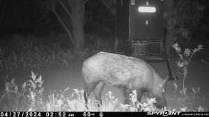 5 acres in Haskell County - photo 8