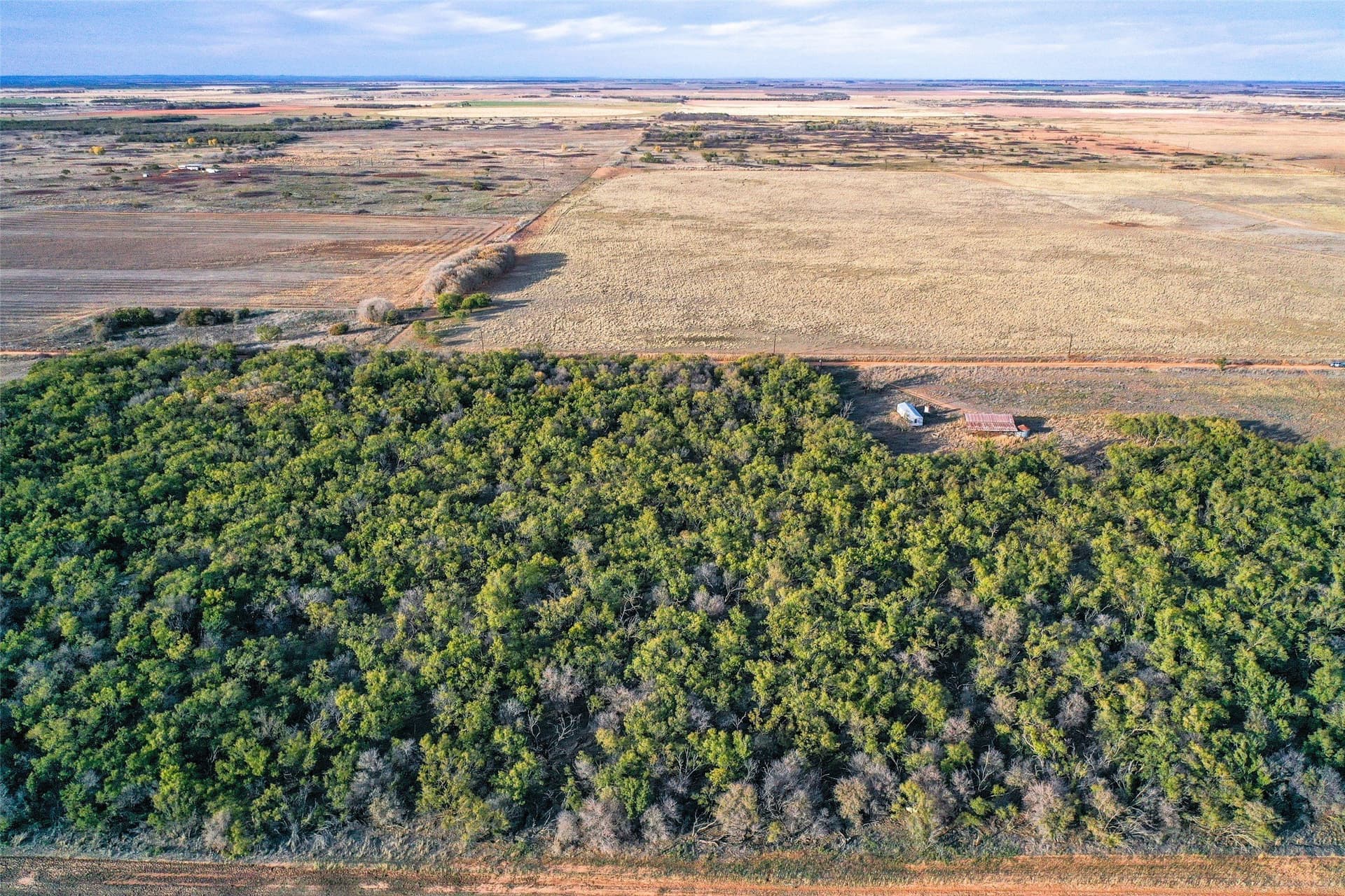 5 acres in Haskell County gallery image 2