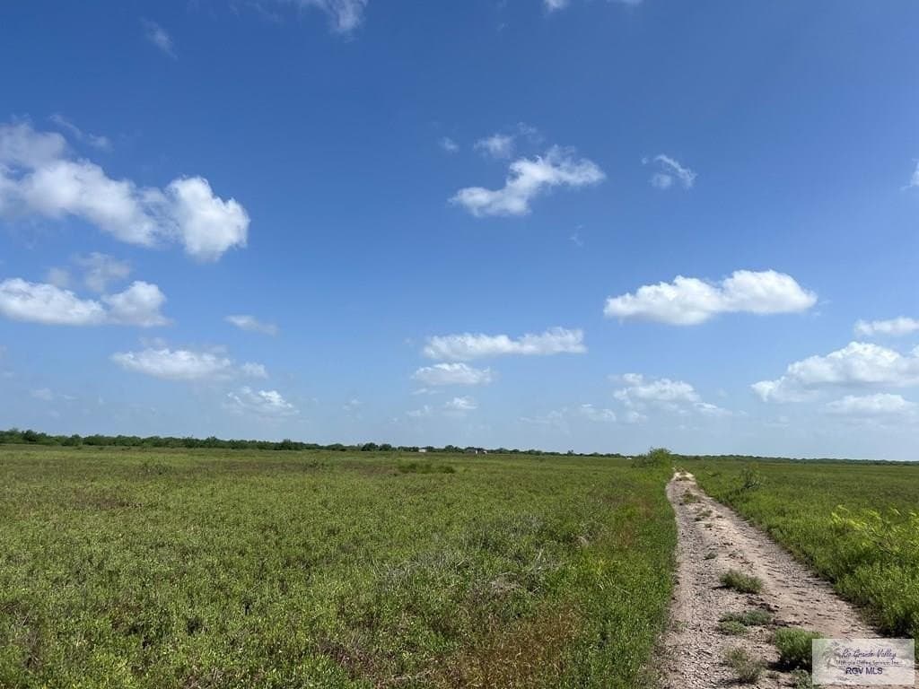 3.92 acres in CAMERON County gallery image 2