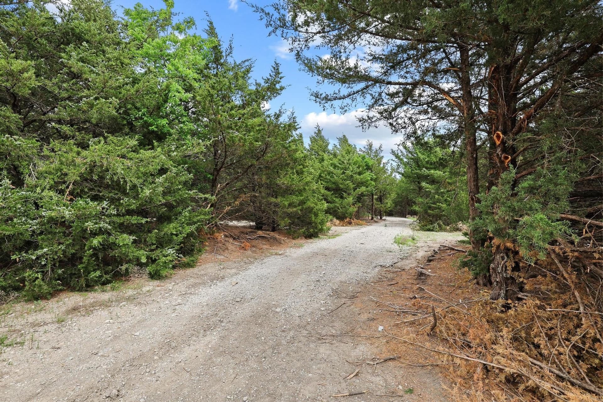 13.28 acres in Fannin County featured view