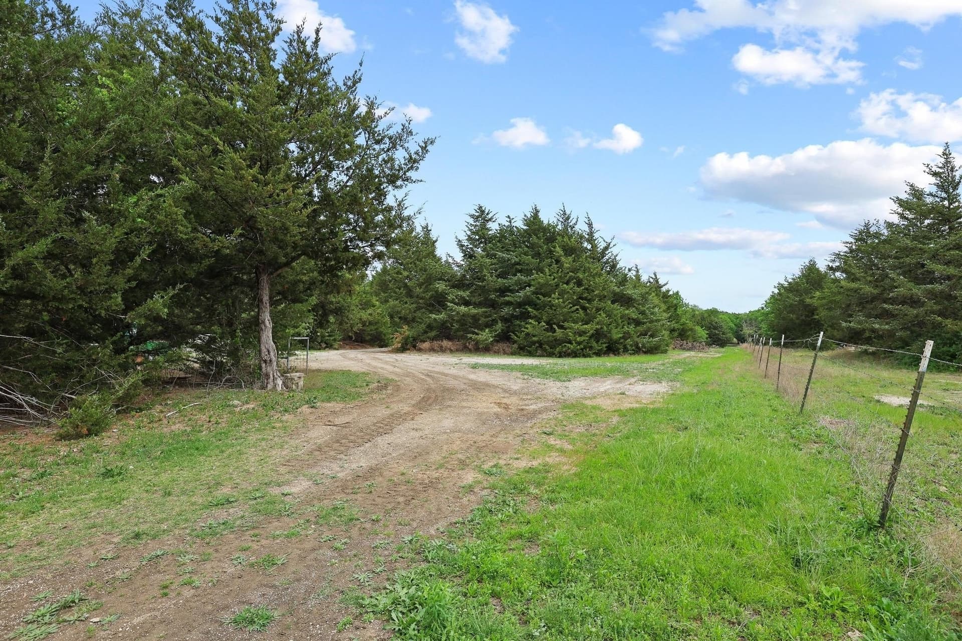 13.28 acres in Fannin County gallery image 4