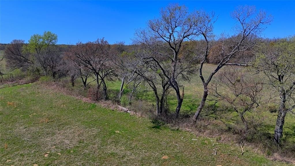 48.4 acres in Montague County gallery image 2