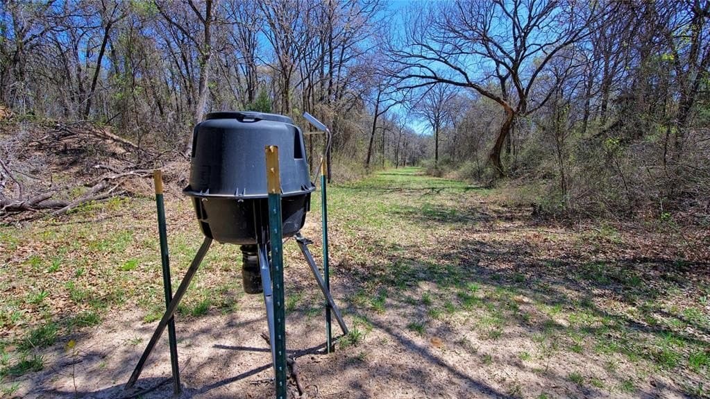 48.4 acres in Montague County gallery image 4