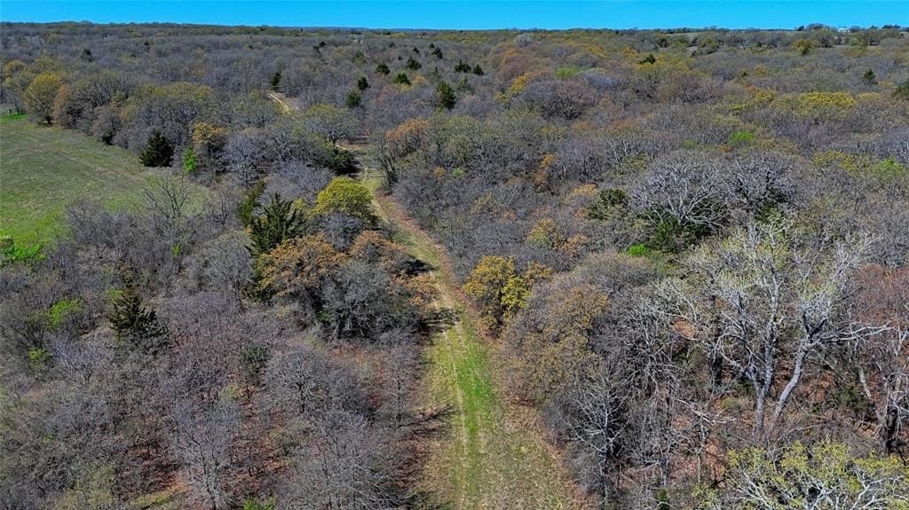 48.4 acres in Montague County gallery image 3