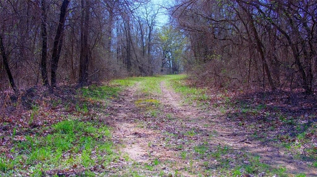48.4 acres in Montague County