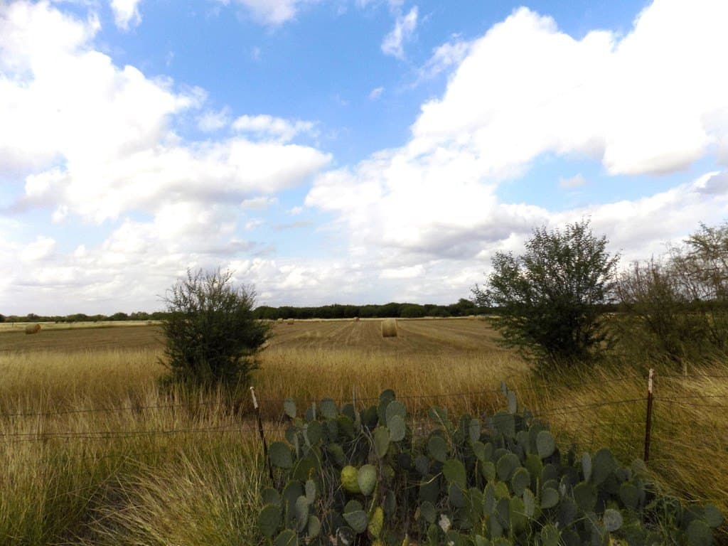 10.52 acres in Maverick County - photo 2