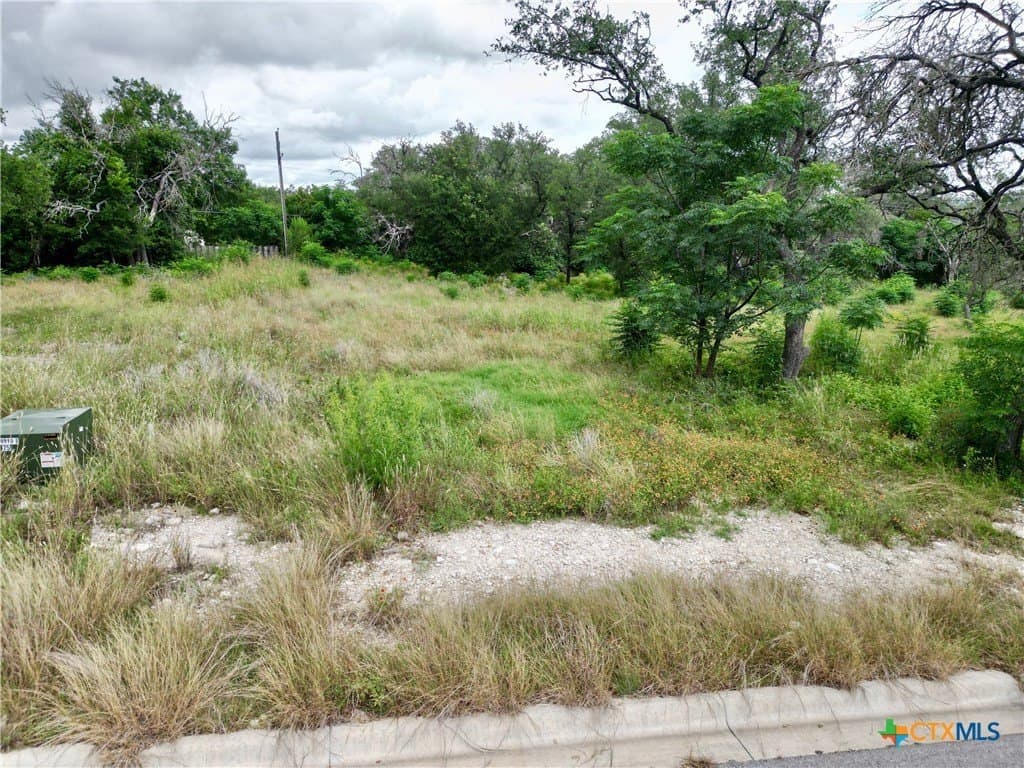 0.45 acres in Bell County gallery image 3