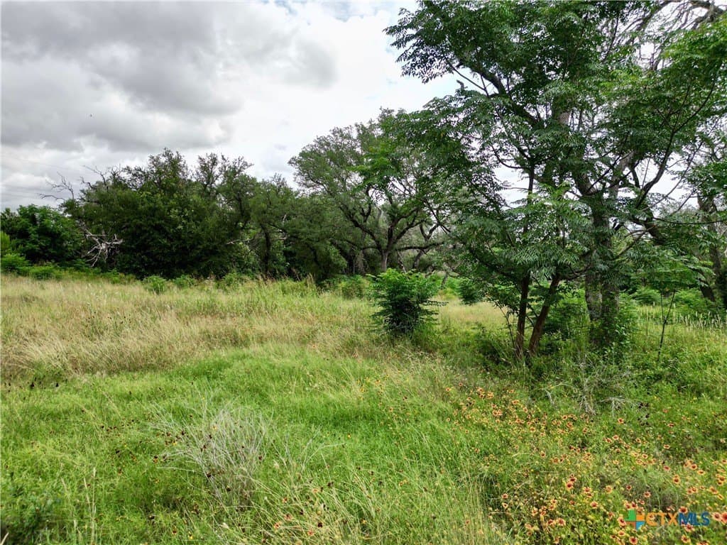 0.45 acres in Bell County gallery image 4