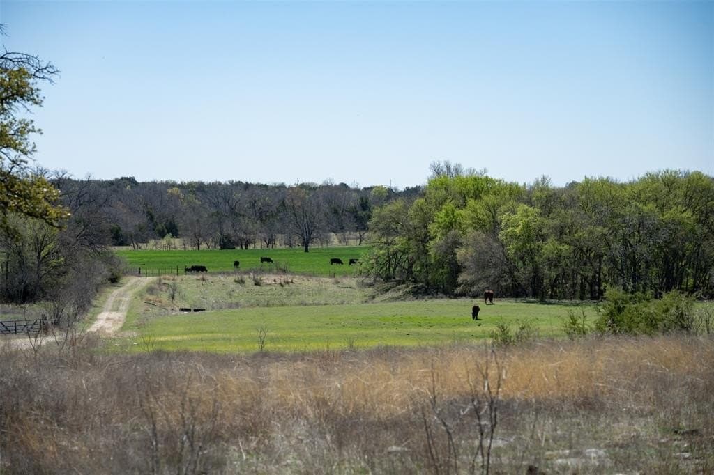48 acres in Erath County gallery image 3