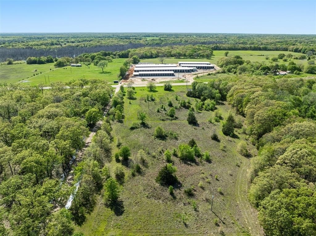 5 acres in Fannin County gallery image 2