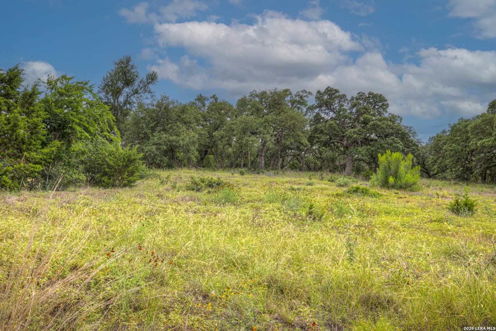 2.11 acres in Comal County gallery image 4