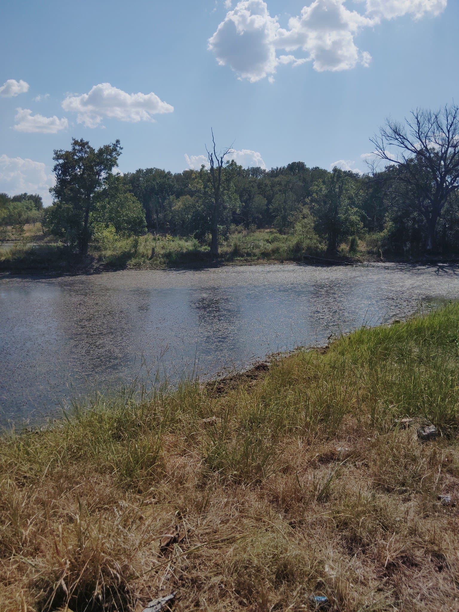 37.84 acres in Montague County - photo 3
