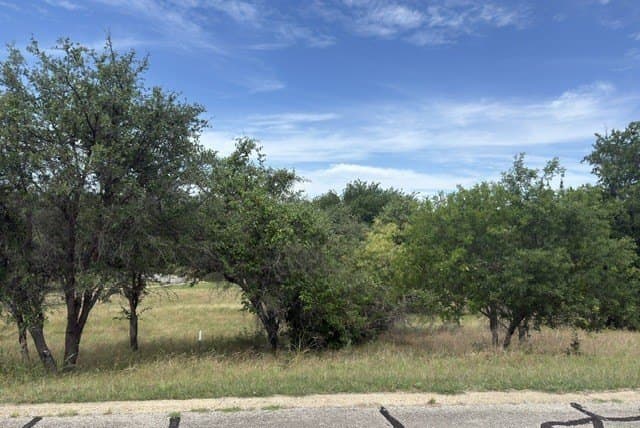 0.24 acres in Hill County gallery image 2
