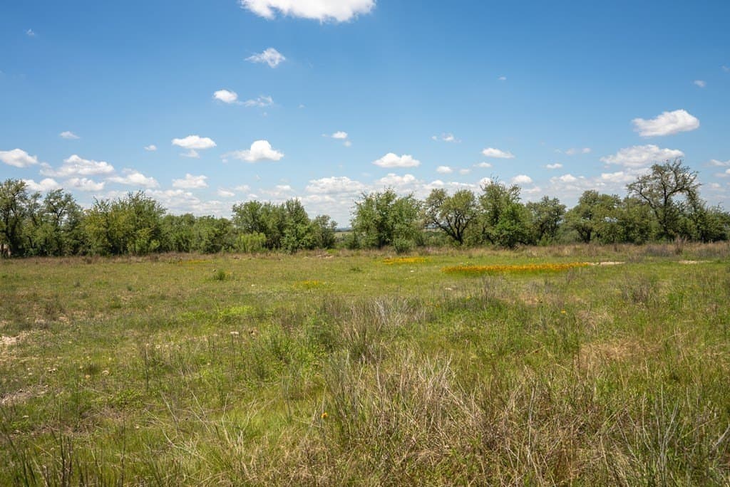 5.01 acres in Blanco County - photo 9