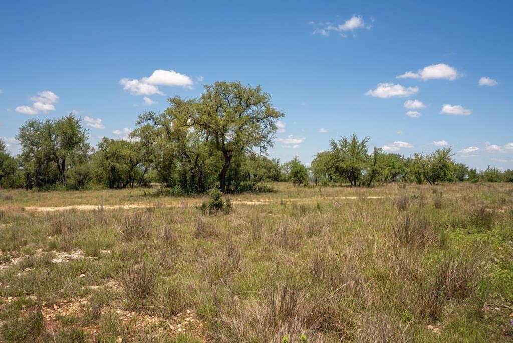 5.01 acres in Blanco County - photo 13