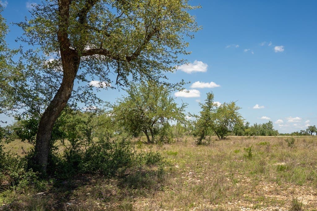 5.01 acres in Blanco County - photo 14