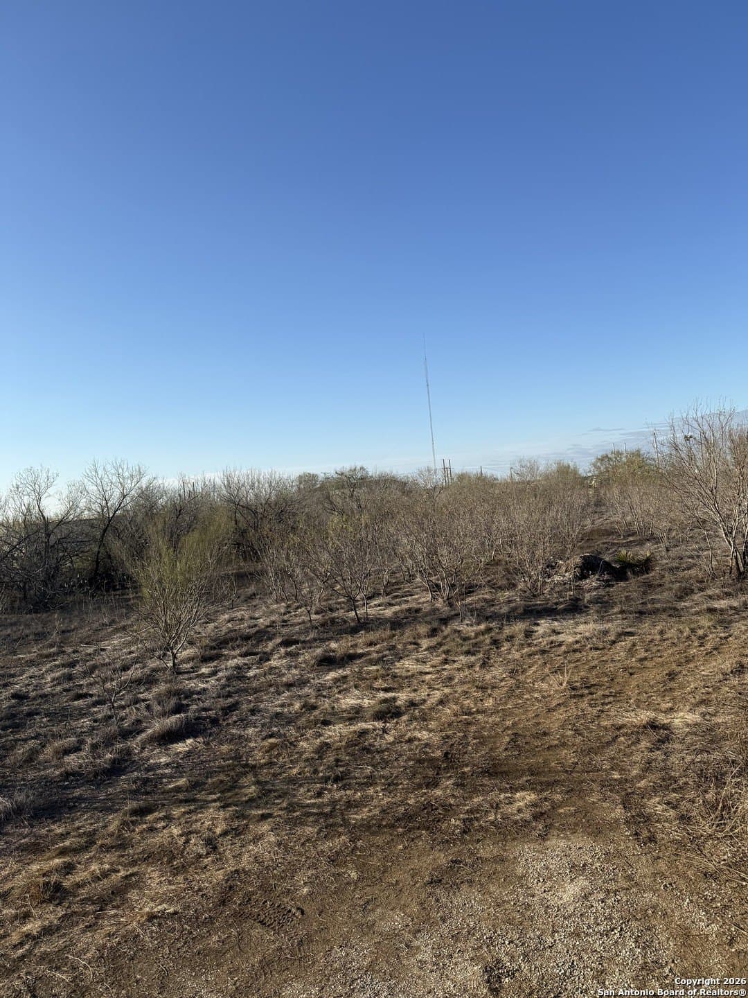 5 acres in Atascosa County - photo 2