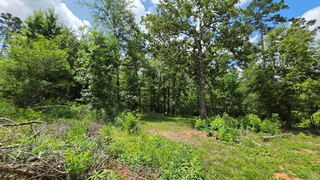 2 acres in Texas County - photo 12