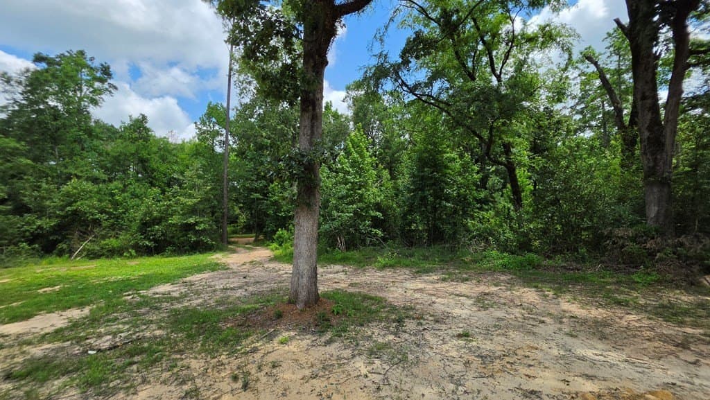 2 acres in Texas County - photo 13