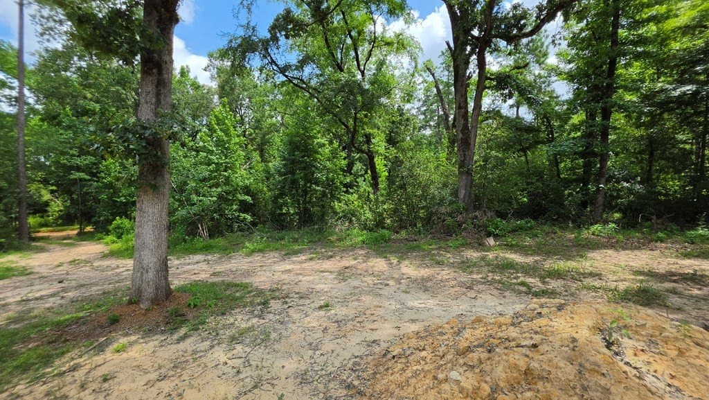 2 acres in Texas County - photo 14