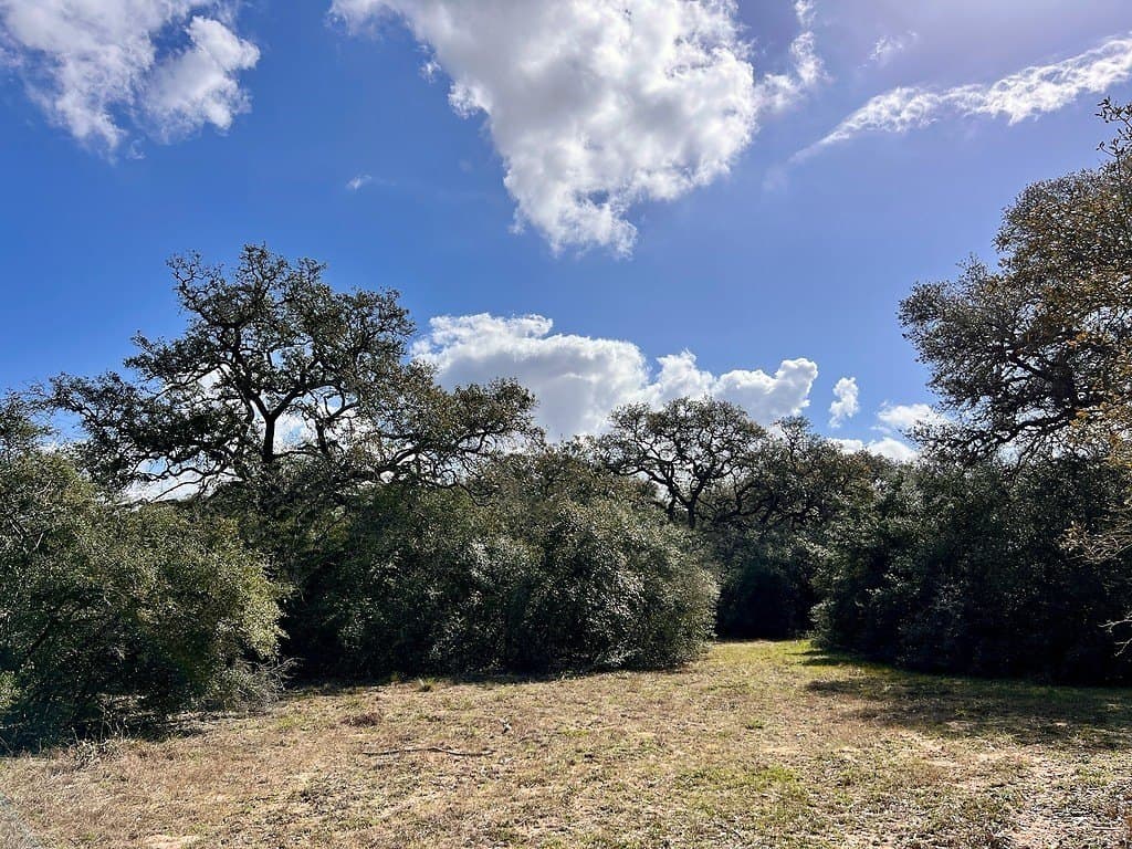 11 acres in Colorado County gallery image 3