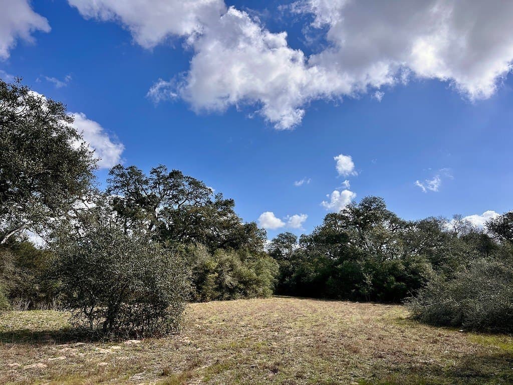 11 acres in Colorado County