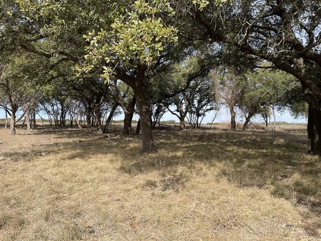 10.02 acres in Coryell County gallery image 3