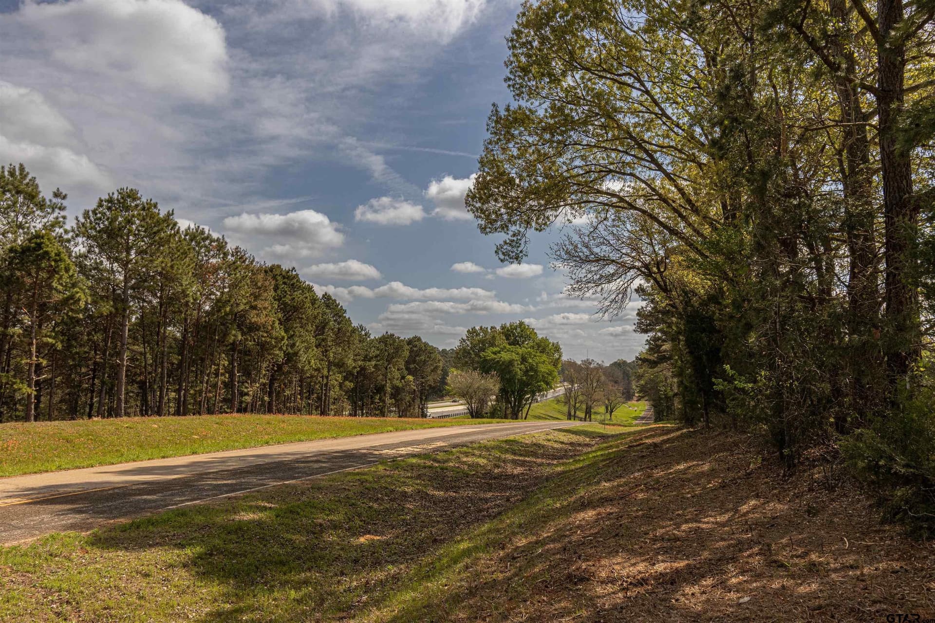 40 acres in Smith County - photo 6