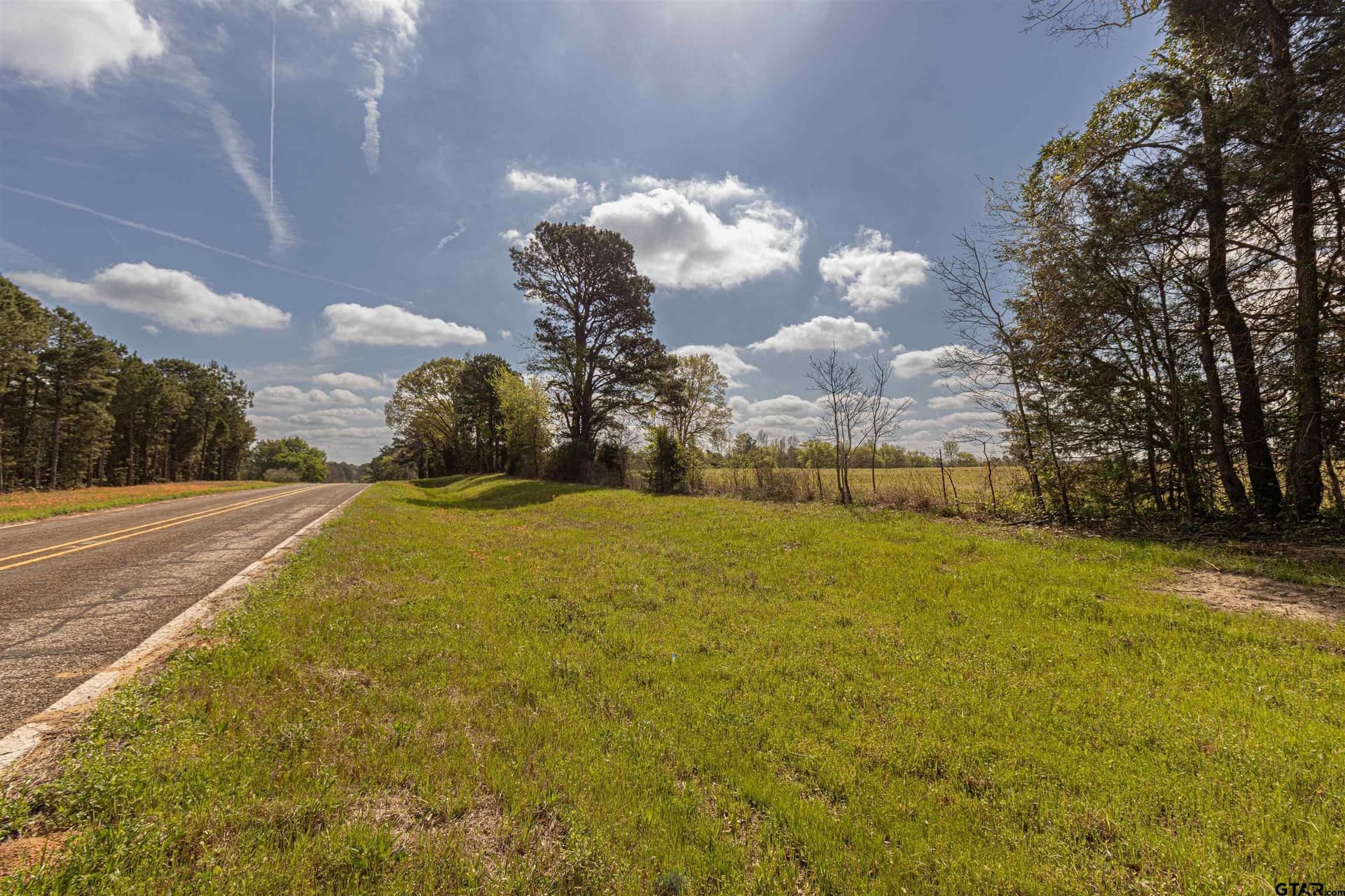 40 acres in Smith County gallery image 4