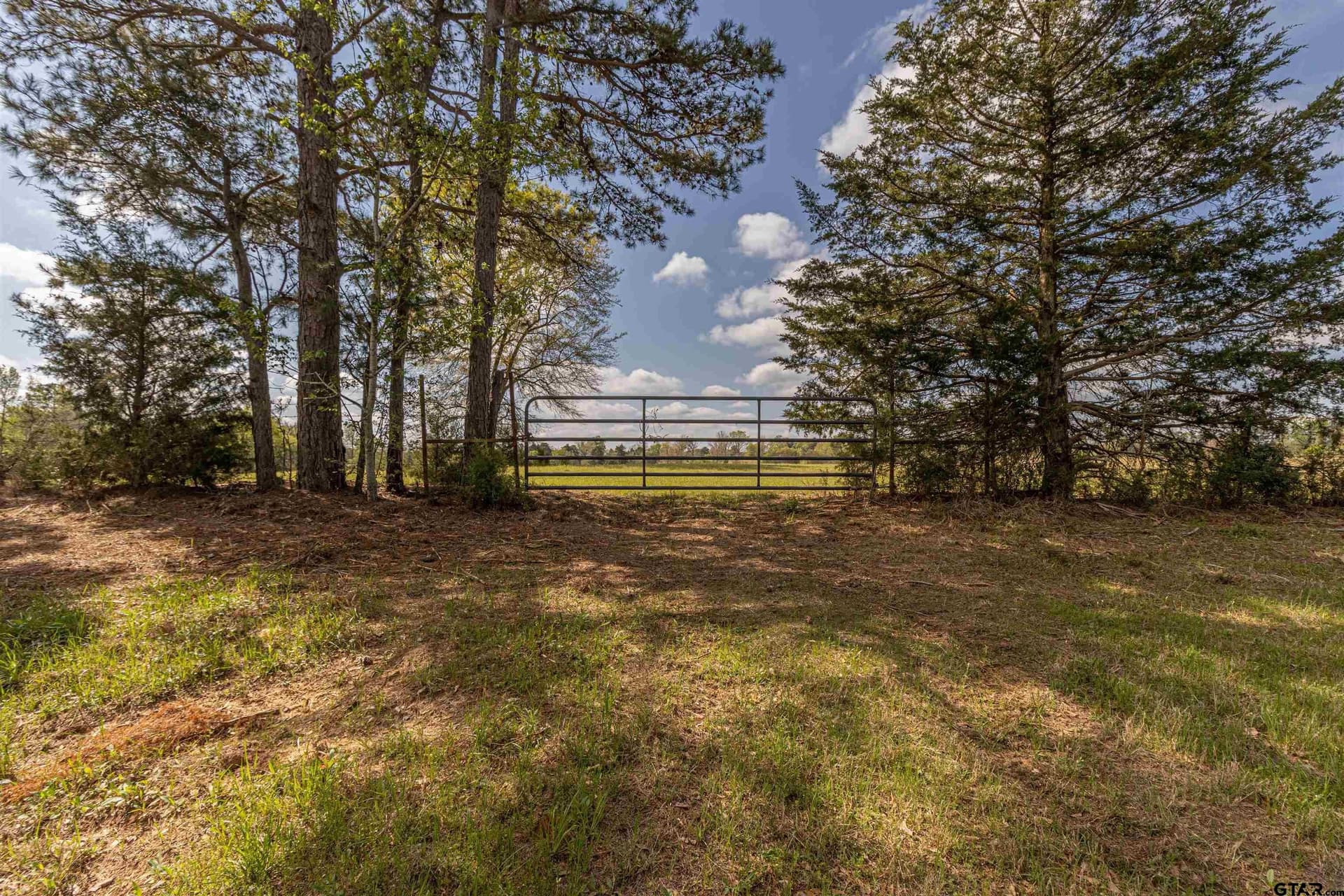 40 acres in Smith County - photo 7