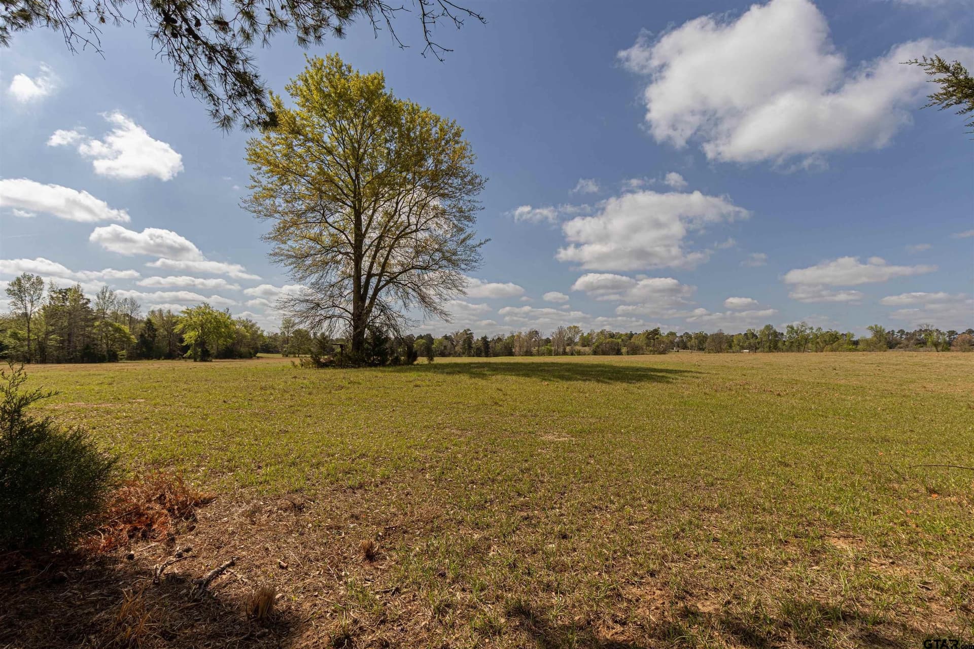 40 acres in Smith County featured view