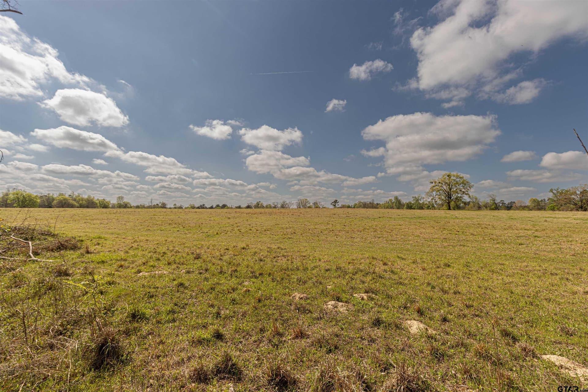 40 acres in Smith County