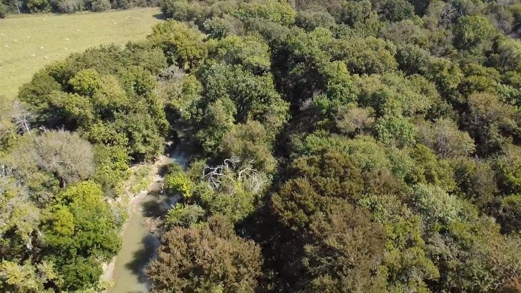 1,220 acres in Navarro County gallery image 3