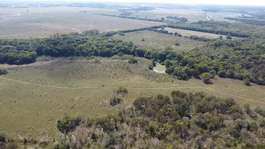 1,220 acres in Navarro County gallery image 4