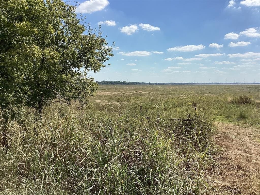 1,220 acres in Navarro County gallery image 2