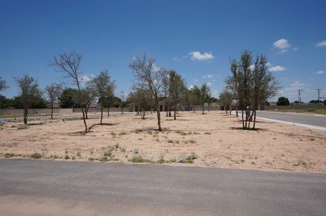 0.27 acres in Midland County - photo 6
