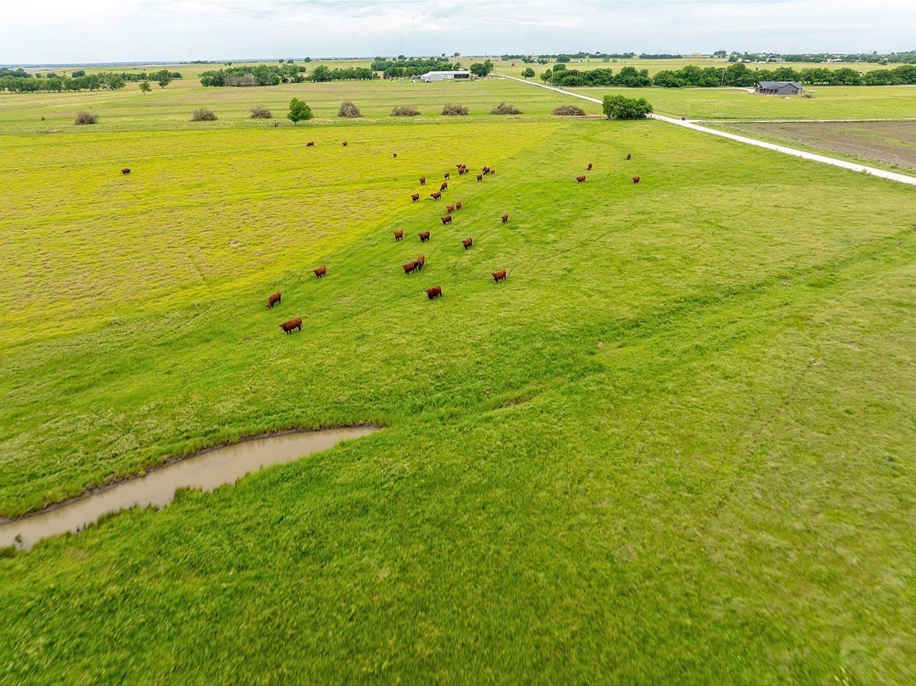 127.42 acres in Cooke County - photo 25