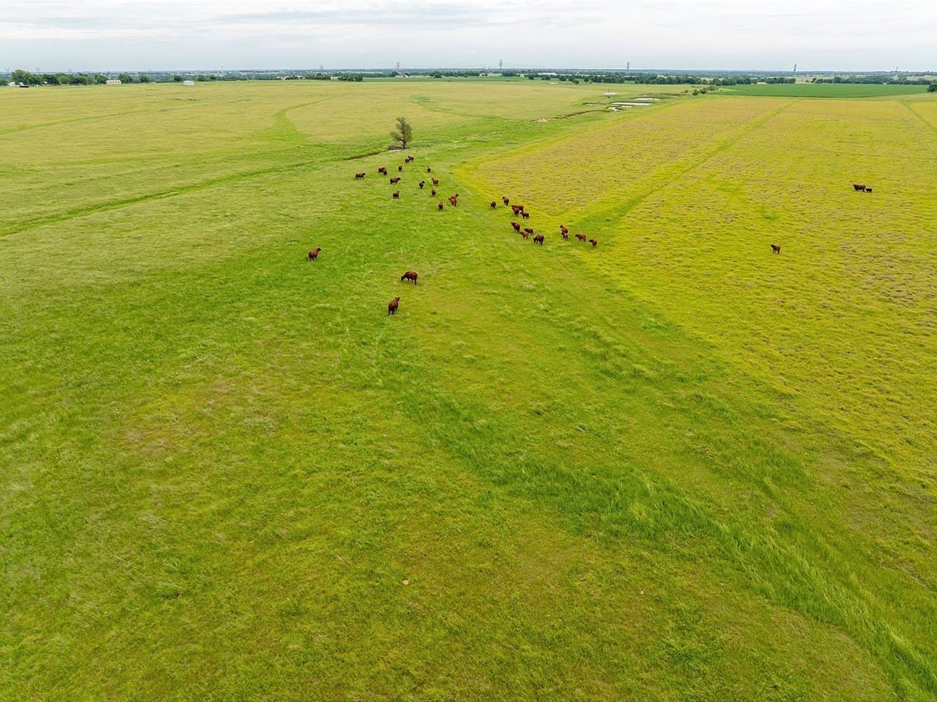 127.42 acres in Cooke County - photo 26