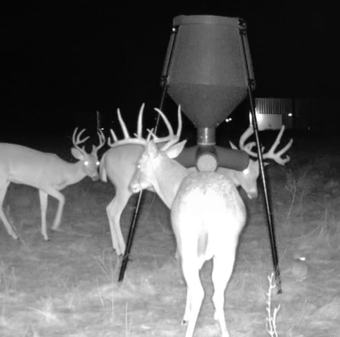 20.02 acres in Comanche County - photo 3